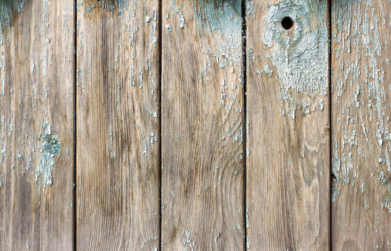 The texture of an old weathered wooden wall with remnants of blue paint. Wooden background with a space to copy.