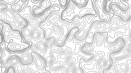 White wave paper curved reliefs abstract background, Abstract topographic contours map background. Geographic mountain relief. Abstract lines background. Contour maps. Business concept.
