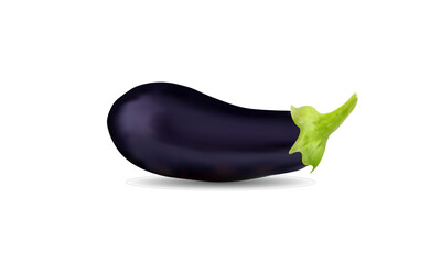 eggplants isolated on white background , design vector