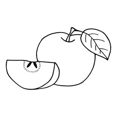Apple. Vector stock illustration eps10. Outline, isolate on white background. Hand drawn.