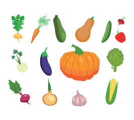 Farm products. A hand-drawn set of colorful doodle vegetables in a fashionable style. Flat icons. Harvest festival. Fresh organic produce from the local farmer's market. Vector illustration.