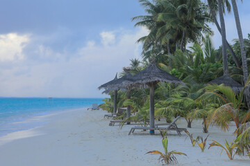 palm trees on white sand on a tropical island