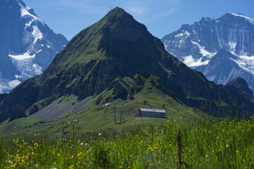 Fototapeta na wymiar panorama of alpine meadows in swiss alps