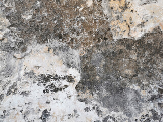 Old dirty concrete wall with black mold texture background.