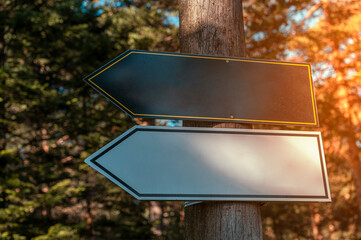 Black and White sign on a tree with sun burning