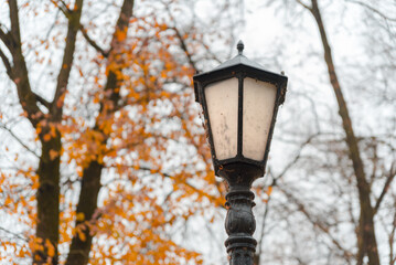 Black street illuminator with tree bokeh background