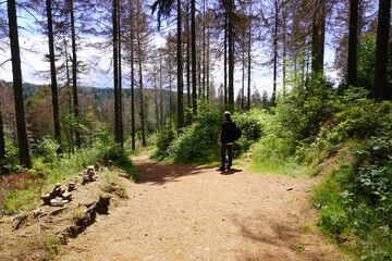 Obraz premium Ein Mann mit Hund bei der Wanderung vom Liebesbankweg bei Hahnenklee im Harz