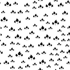 Seamless vector pattern with black maple leaves on a white background. Modern stylish botanicalt flat style illustration for fabric print, wrapping paper, maple syrup labels