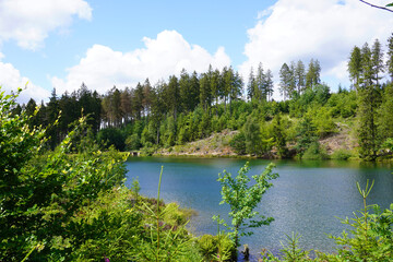 Fototapeta na wymiar Ein kleiner See beim Liebesbankweg Hahnenklee im Harz