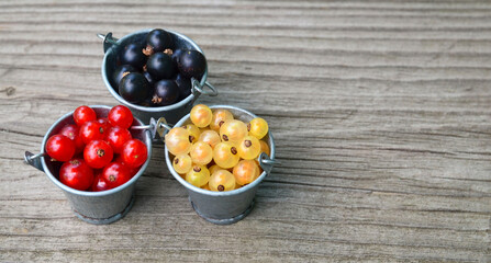 Red, white and black currant in a small buckets on a rustic wooden background.Ripe summer berry,garden berries or harvesting concept.