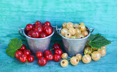 Red currants and white currant in a small buckets on a painted wood background.Ripe summer berry,garden berries or harvesting concept.Selective focus.