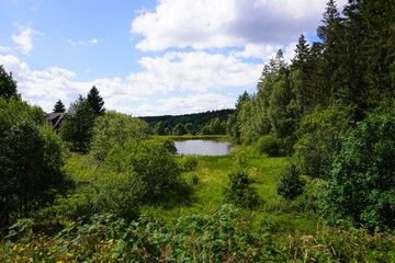 Fototapeta na wymiar Blick vom Liebesbankweg auf einen kleinen See im Harz