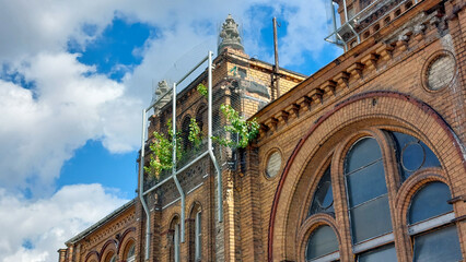 Old factory building overgrown by plants