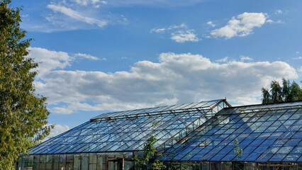 Abandoned greenhouse roof