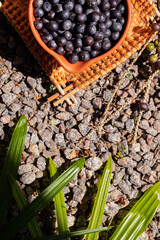 fruta açai caroço norte do brasil