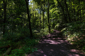 Hiking in Persimmon Ridge Park, Jonesborough, TN