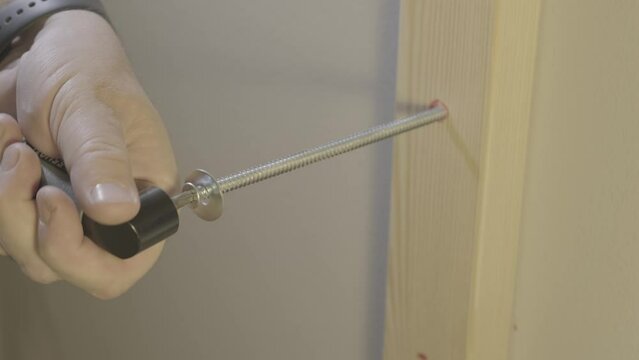 Power tool used to screw into wood