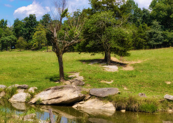 Landscape of a rural field in Tennessee © Dee
