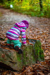 Kind klettert auf Felsen im Herbst