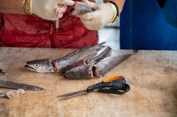 Catch of the day for sale on daily fish market in old port of Marseille, Provence, France