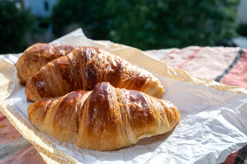 Two fresh baked butter croissants from French bakery