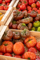 Fototapeta na wymiar Colorful french ripe tasty tomatoes in assortment on Provencal market in Cassis, Provence, France