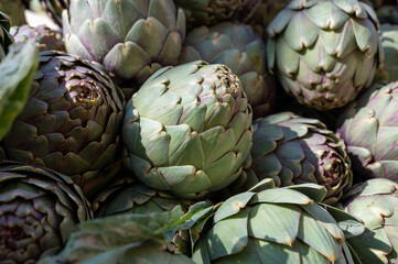 Obraz premium Fresh raw heads of artichokes plants for sale on farmers market
