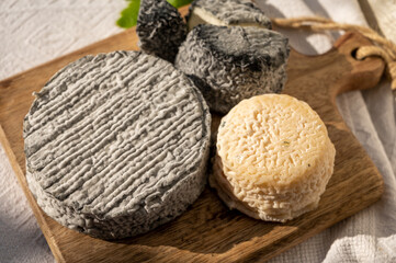 French goat cheeses crottin and selles-sur-cher served with view on boats in harbor of Cassis,...