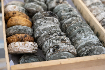 Matured french goat cheeses on farmers market in Cassis, Provence, France