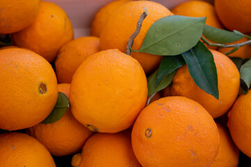 Fresh ripe sicilian oranges citrus fruits on market