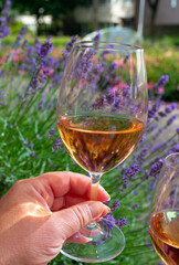 French rose wine from Provence, hand with glass of wine with purple lavender flowers on background