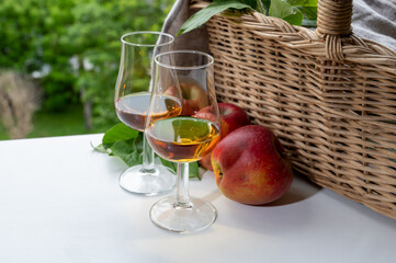 Tasting of strong alcoholic drink calvados made from apples in Normandy, Calvados region, France