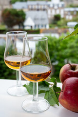 Tasting of strong alcoholic drink calvados made from apples in Normandy, Calvados region, France