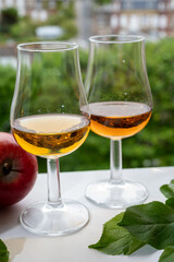 Tasting of strong alcoholic drink calvados made from apples in Normandy, Calvados region, France