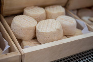 French goat cheese crottin on farmers market in Cassis, Provence, France