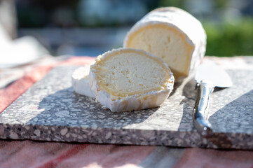French cheeses, cylindrical neufchatel cow cheese with mold, Neufchâtel-en-Bray, Normandy, France
