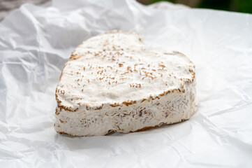 French heartshaped neufchatel cow cheese on white paper and view on old houses of Etretat, Normandy, France