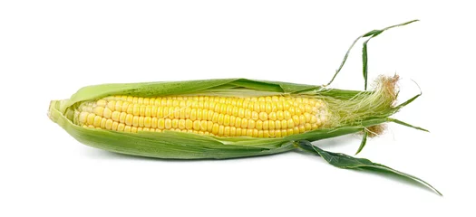 Fotobehang Yellow ripe corn on a white background, head with leaves. © Andrii Zastrozhnov