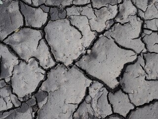 Dürre - Erdboden trocknet aus und bildet Risse
