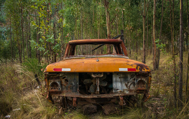 
rusty truck in the middle of the forest, urcos, cusco, peru.