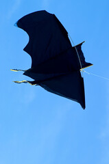 kite in the shape of a bat flying in the blue sky