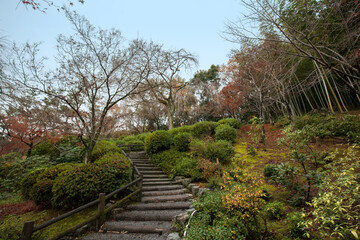 Fototapeta na wymiar Autumn garden in Tenryu-ji Temple, is a Zen Buddhism temple in Kyoto, Japan