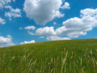 Blauer Himmel mit weißen Wolken vor einer grünen Wiese mit Blumen im Sommer aufgenommen bei Wallenborn in der Vulkaneifel, Rheinland-Pfalz.