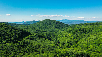 aerial view of forest and mountains