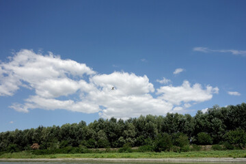 Fototapeta na wymiar bird flying in danube delta 