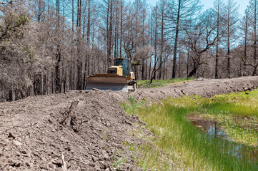 A bulldozer clears the area in the forest around the reservoir.