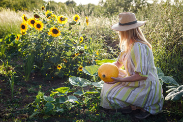 Woman farmer with straw hat harvesting yellow pumpkin from vegetable garden. Organic gardening at...