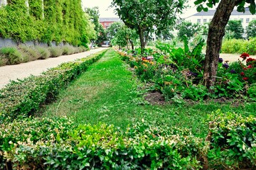 Park mit vielen bunten Blumen 