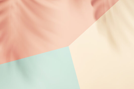 Minimal abstract background for product presentation. Leaf shadow on pastel wall. 3d render. Spring and summer.