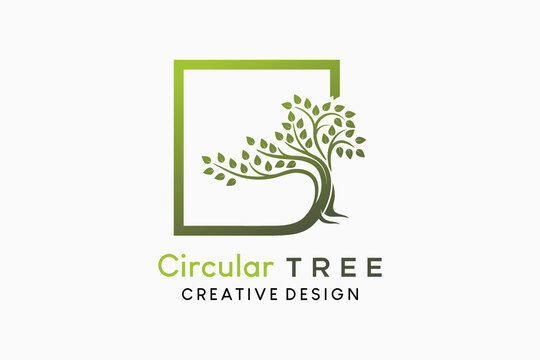 Tree icon logo with creative concept in box